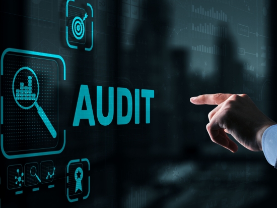 Accounting and Audit